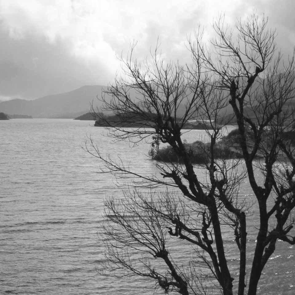 A monochrome photo showing the tranquil waters of Banasurasagar Lake, with a small island of trees and the silhouette of mountains in the distance. The bare branches of a tree in the foreground add to the serene and slightly somber mood.